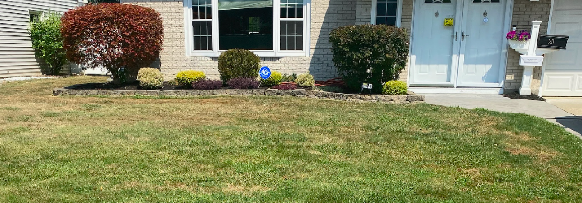 Screen Shot 2020-10-21 at 1.24.47 PM