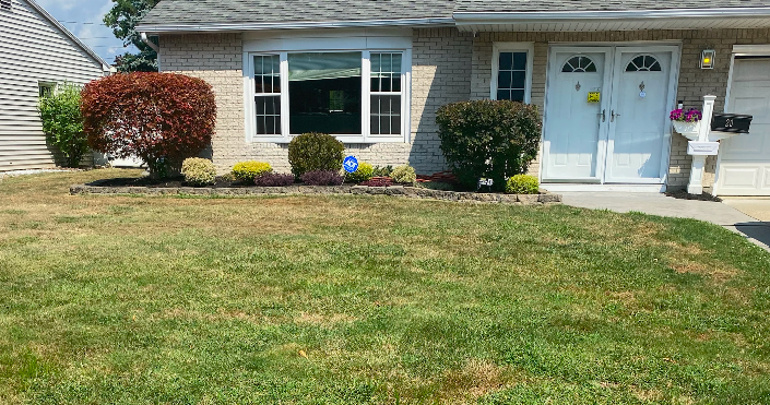 Screen Shot 2020-10-21 at 1.24.47 PM